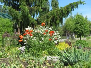 Olds Botanical Gardens