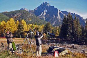 Observers scan for migrating raptors below Mt Lorette.  © RMERF